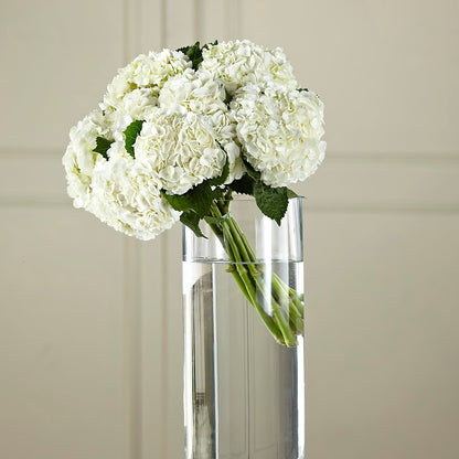White Hydrangea Hand-Tied Bouquet –  United Floral Svc Inc, Philadelphia PA