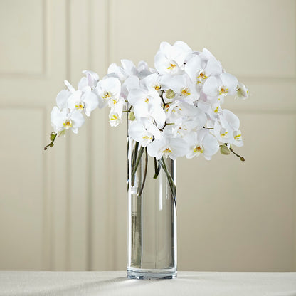 White Phalaenopsis Bouquet –  United Floral Svc Inc, Philadelphia PA