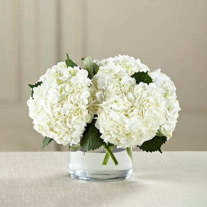 White Hydrangea Bouquet –  United Floral Svc Inc, Philadelphia PA